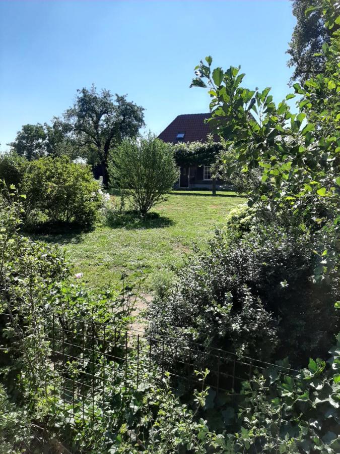 Bruiler Hof Bed and Breakfast Ruurlo Exteriör bild
